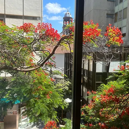 Niko Homestay Santa Cruz de Tenerife