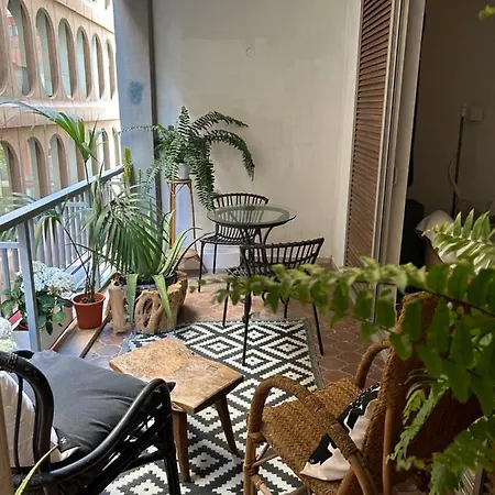 Niko * Santa Cruz de Tenerife