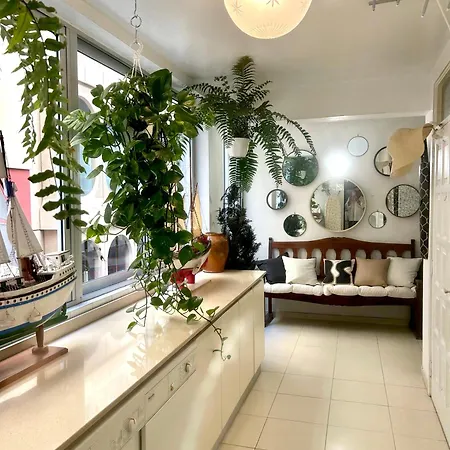 Niko * Санта-Крус-де-Тенерифе